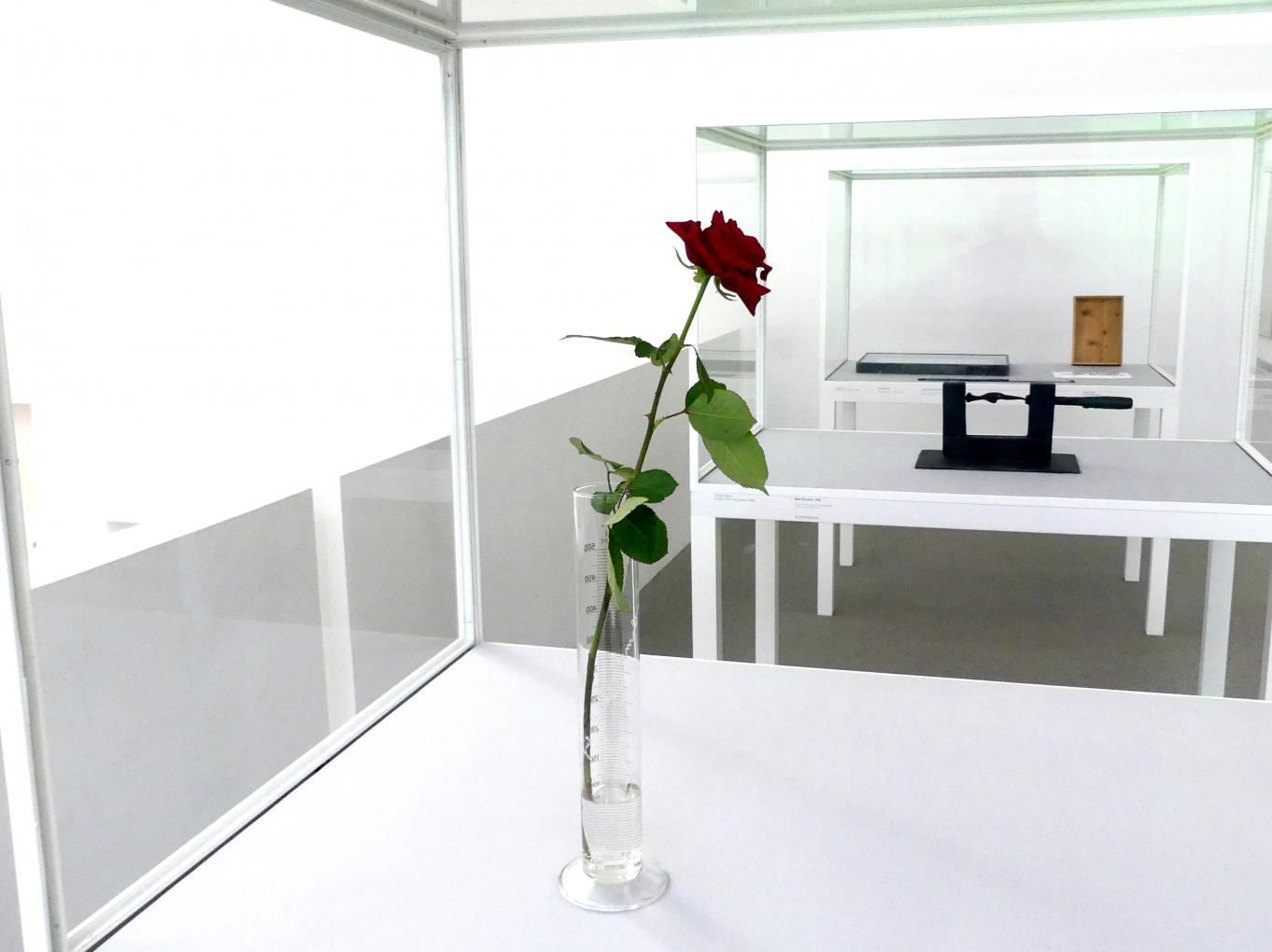 Joseph Beuys (1948–1985), Rose für direkte Demokratie, München, Pinakothek der Moderne, Saal 19, 1973
