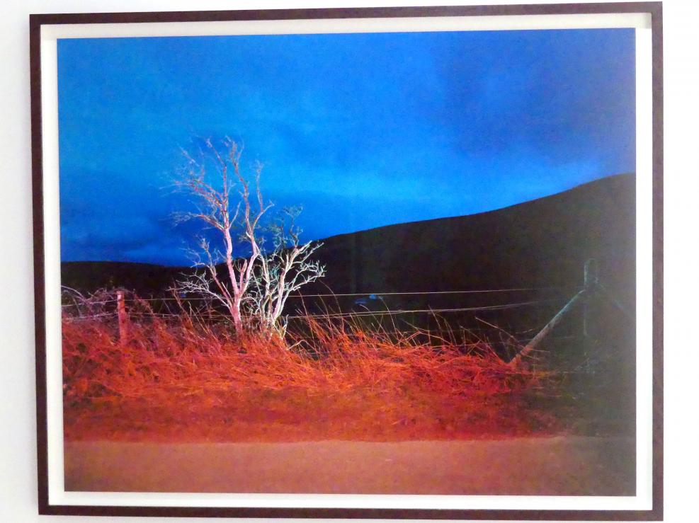 Gerard Byrne (2007), A country road, a tree. Evening. Beside Knocktee looking forward towards Crone and Bahana, Glencree, Co. Wicklow, München, Lenbachhaus, Saal 57, 2007
