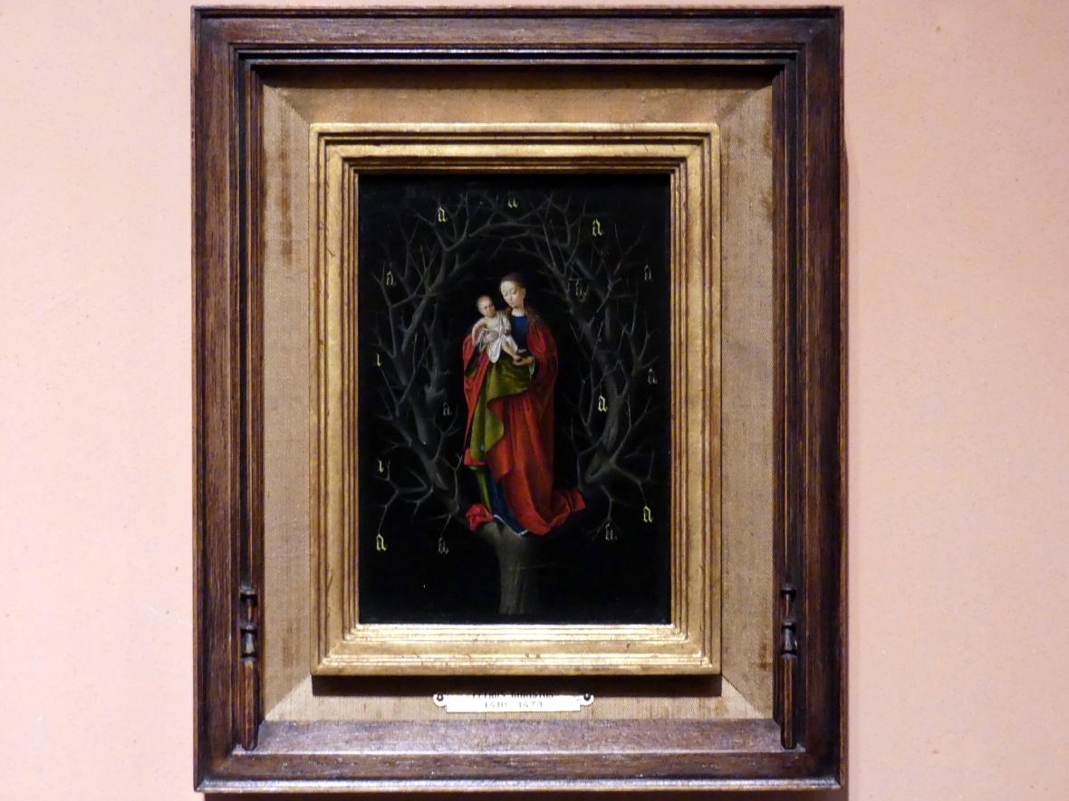 Petrus Christus (1446–1470), Madonna vom trockenen Baum, Madrid, Museo Thyssen-Bornemisza, Saal 3, niederländische Malerei, um 1465