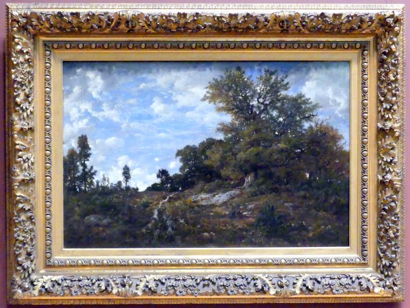 Théodore Rousseau (1827–1862), Waldrand bei Monts-Girard, Wald von Fontainebleau, New York, Metropolitan Museum of Art (Met), Saal 802, 1852–1854