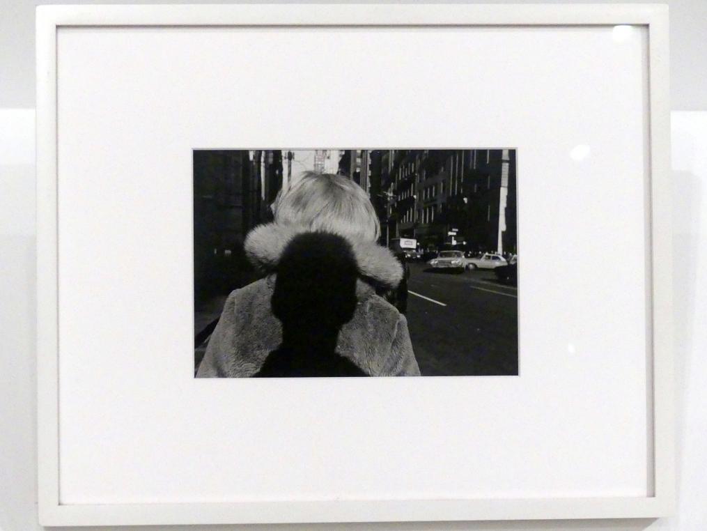 Lee Friedlander (1966–1972), New York City, New York, Museum of Modern Art (MoMA), Saal 516, 1966