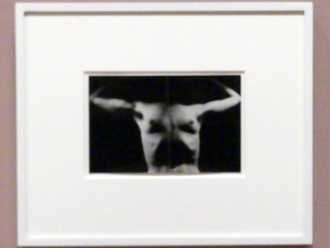 Man Ray (1914–1939), Minotaur, New York, Museum of Modern Art (MoMA), Saal 517, 1933