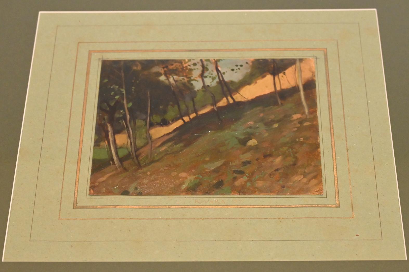 Alfredo d’Andrade (1867–1871), Landschaftsstudie (Rivara), Turin, GAM Torino, Ausstellung "Natur und Wahrheit" vom 09.07.-17.10.2021, 1871