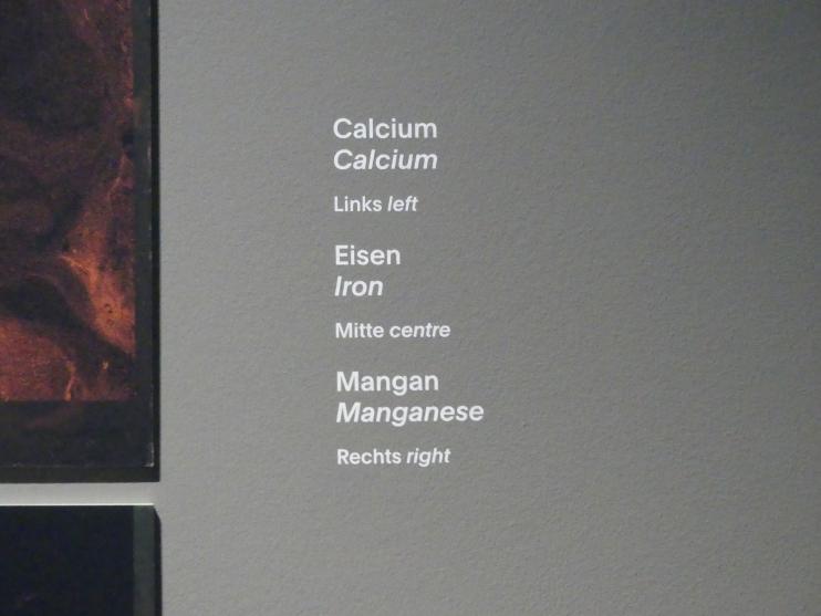 München, Alte Pinakothek, Ausstellung "Van Dyck" vom 25.10.2019-02.02.2020, Bild 6/6