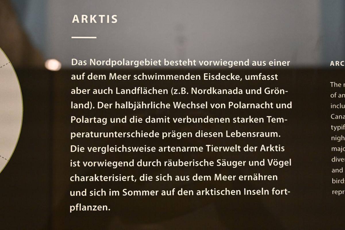 Darmstadt, Hessisches Landesmuseum, Zoologie, Bild 43/77