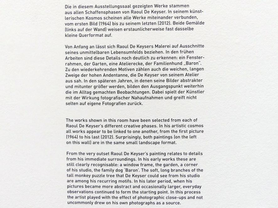 München, Pinakothek der Moderne, Ausstellung "Raoul De Keyser – Œuvre" vom 05.04.-08.09.2019, Saal 21, Bild 2/4