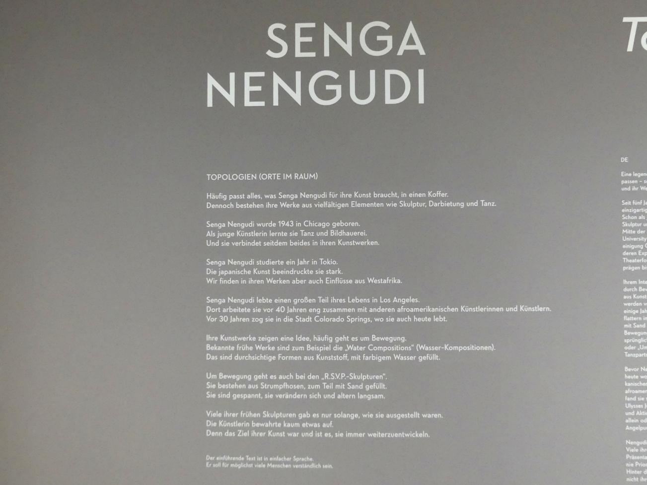München, Lenbachhaus, Ausstellung "Senga Nengudi Topologien" vom 17.09.-19.01.2020, Saal 1, Bild 2/9