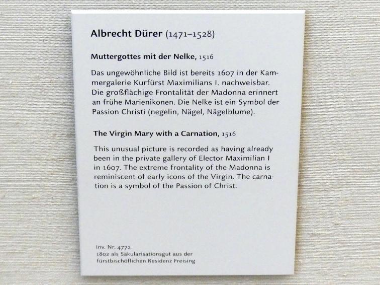 Albrecht Dürer (1490–1526), Muttergottes mit Nelke, München, Alte Pinakothek, Obergeschoss Saal IIb, 1516, Bild 2/2