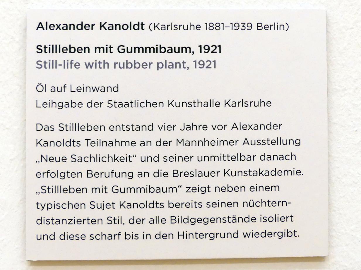 Alexander Kanoldt (1910–1929), Stillleben mit Gummibaum, Regensburg, Ostdeutsche Galerie, Saal 8, 1921, Bild 2/2