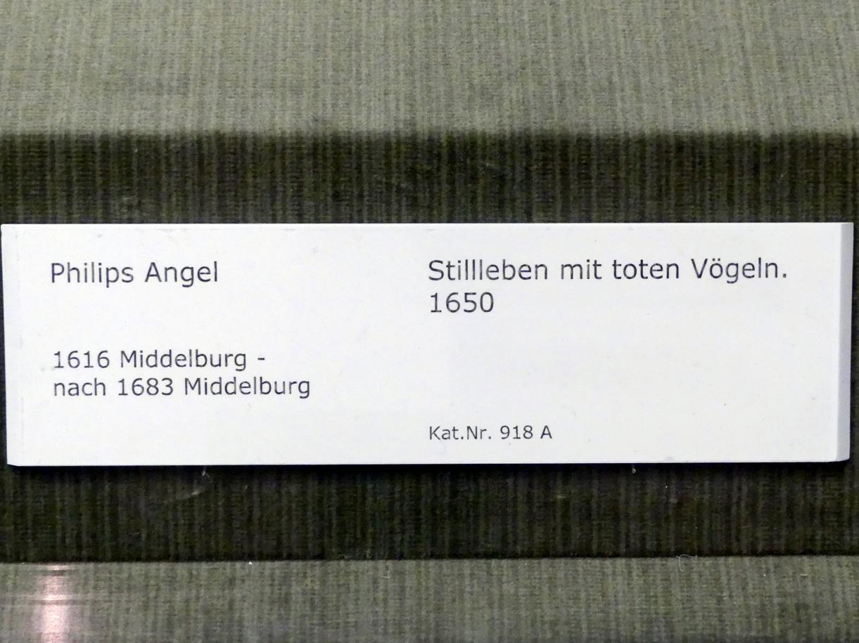 Philips Angel (1637–1650), Stillleben mit toten Vögeln, Berlin, Gemäldegalerie ("Berliner Wunder"), Kabinett 10, 1650, Bild 2/2