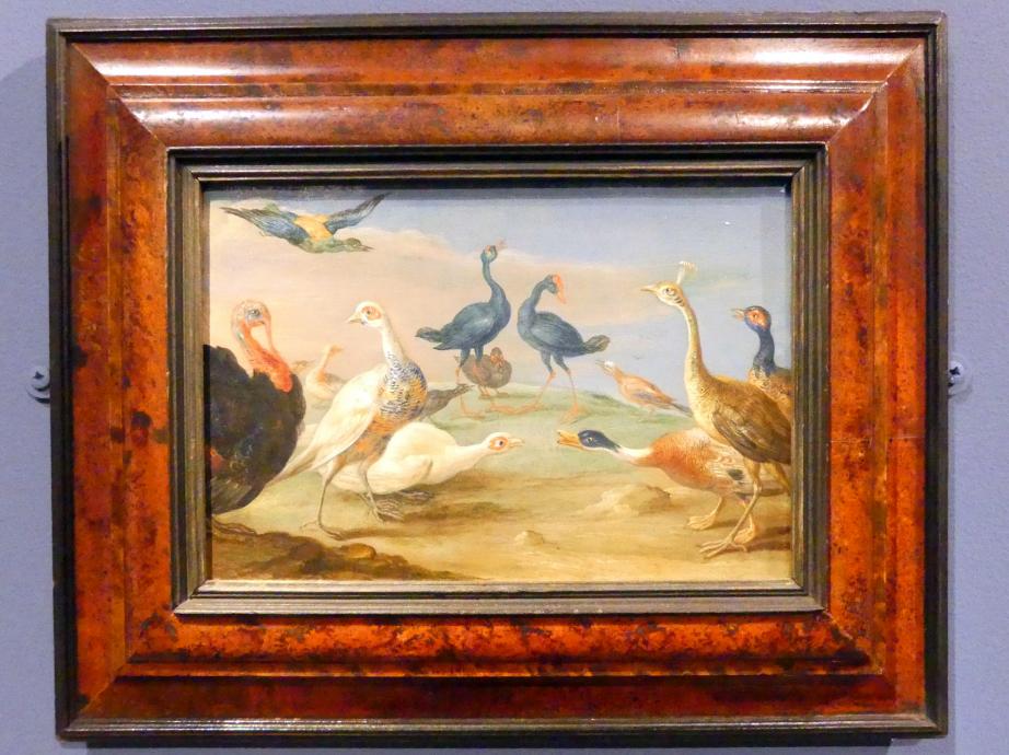 Jan van Kessel (1655–1670), Landschaft mit Vögeln, Berlin, Gemäldegalerie ("Berliner Wunder"), Wandelhalle, 1660–1670