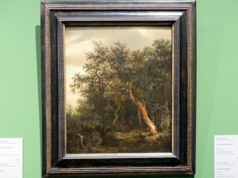 Jacob van Ruisdael (1646–1677), Lichtung in einem Wald, Wien, Akademie der bildenden Künste, 1646, Bild 1/2