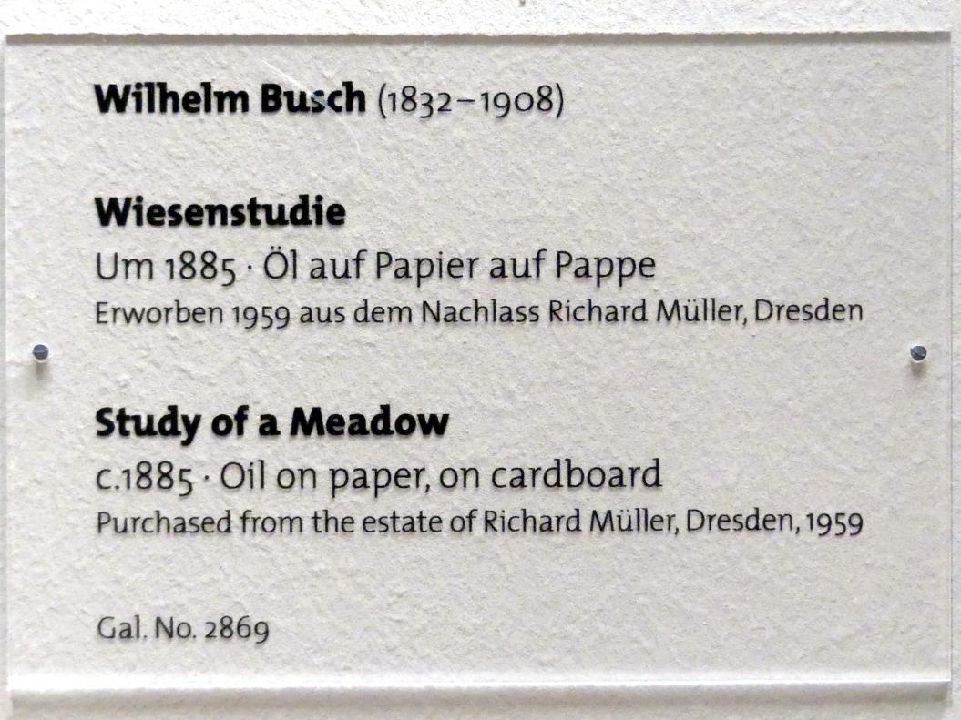 Wilhelm Busch (1873–1892), Wiesenstudie, Dresden, Albertinum, Galerie Neue Meister, 2. Obergeschoss, Saal 9, um 1885, Bild 2/2