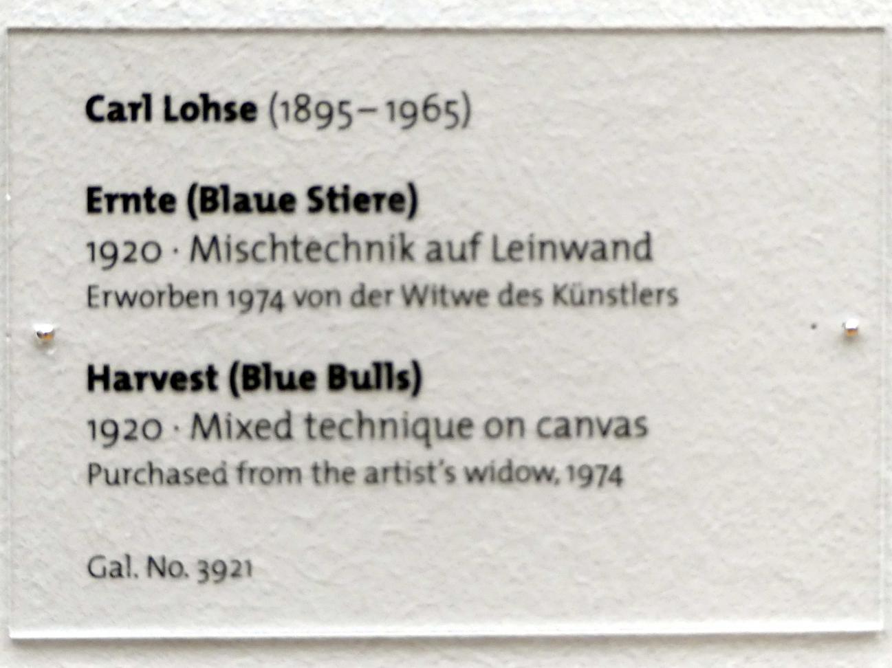 Carl Lohse (1919–1920), Ernte (Blaue Stiere), Dresden, Albertinum, Galerie Neue Meister, 2. Obergeschoss, Saal 14, 1920, Bild 2/2