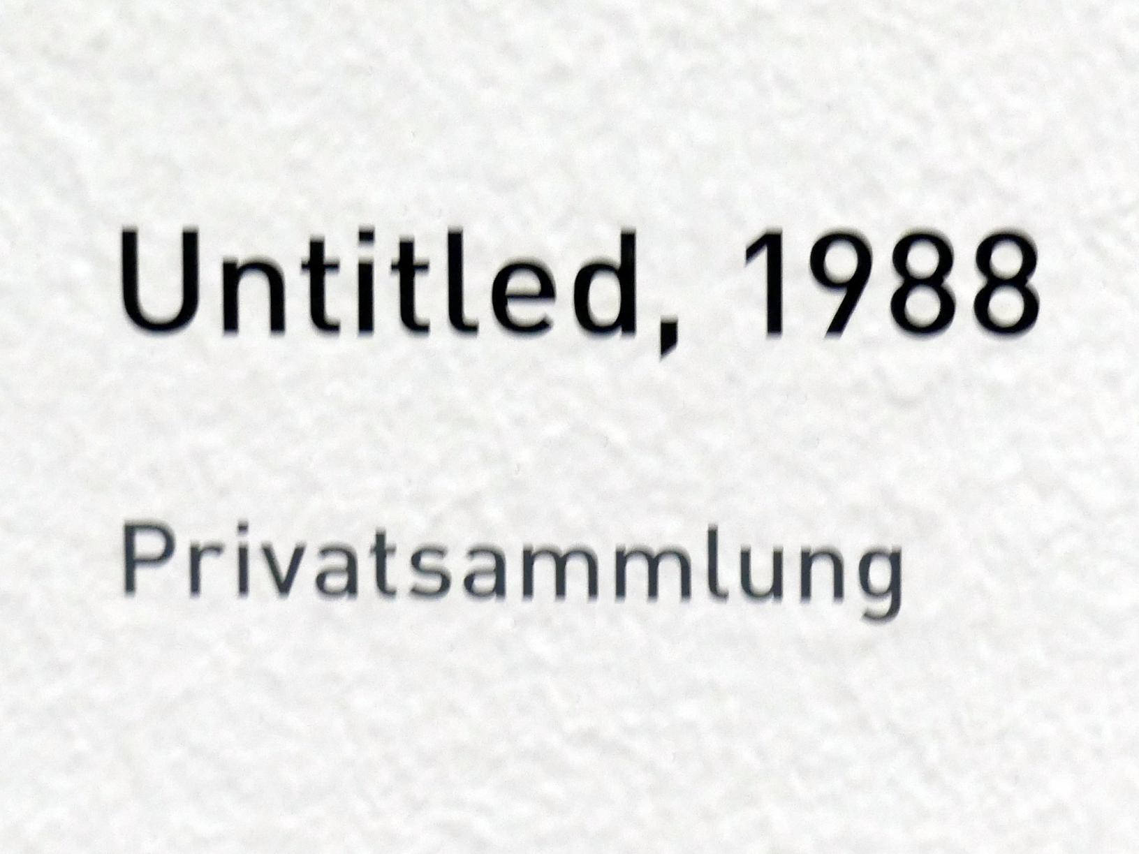 Raoul De Keyser (1964–2012), Untitled, München, Pinakothek der Moderne, Ausstellung "Raoul De Keyser – Œuvre" vom 05.04.-08.09.2019, Saal 21, 1988, Bild 2/2