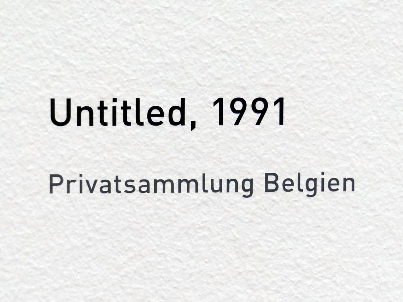 Raoul De Keyser (1964–2012), Untitled, München, Pinakothek der Moderne, Ausstellung "Raoul De Keyser – Œuvre" vom 05.04.-08.09.2019, Saal 25, 1991, Bild 2/2