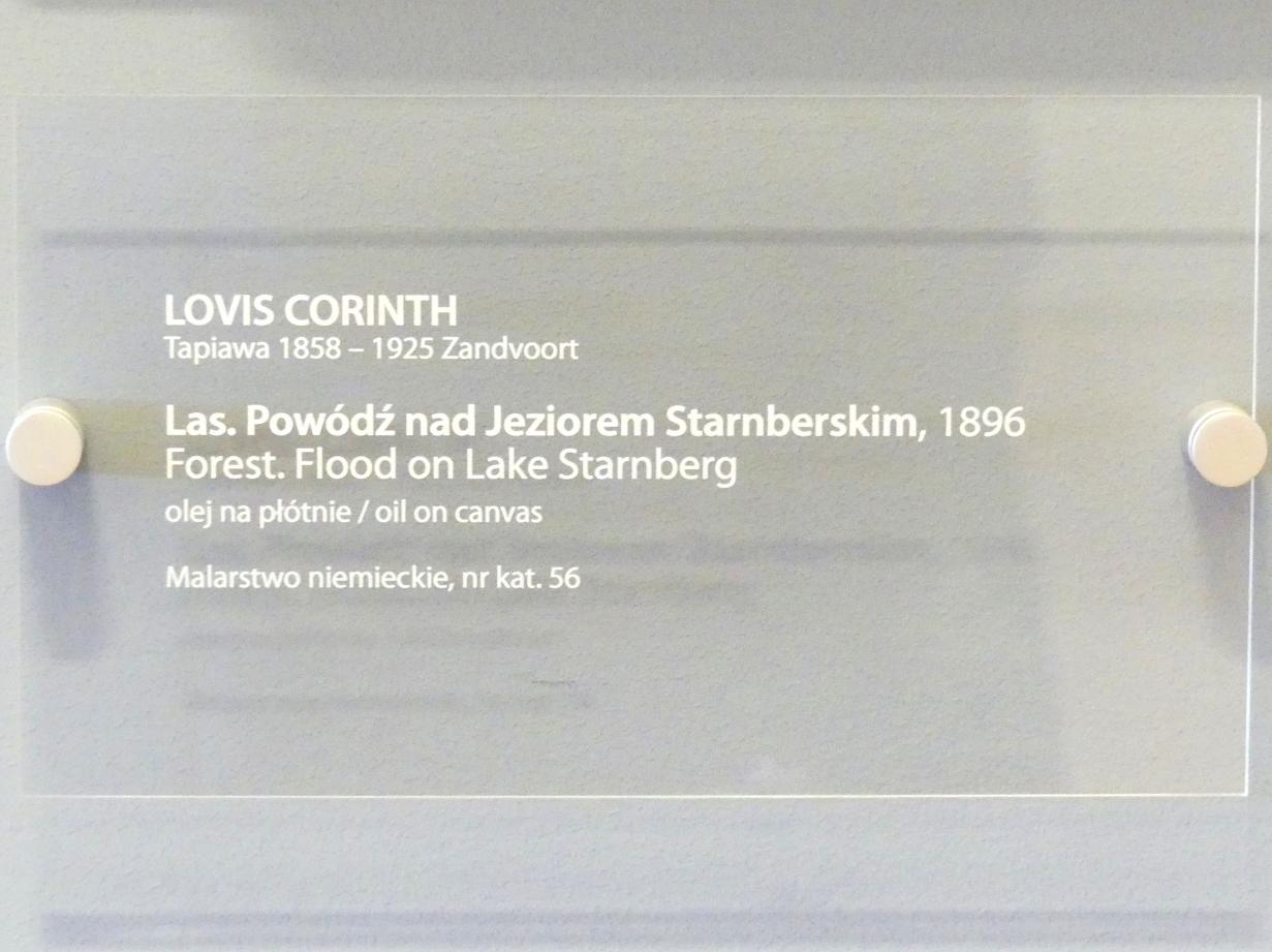 Lovis Corinth (1891–1925), Überschwemmter Wald am Starnberger See, Breslau, Nationalmuseum, 2. OG, europäische Kunst 15.-20. Jhd., Saal 17, 1896, Bild 2/2