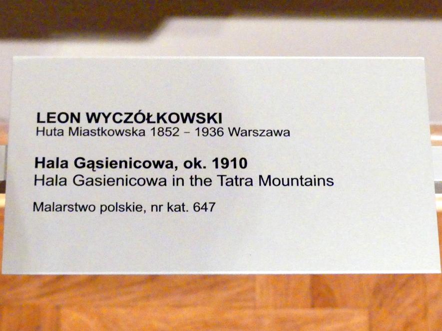 Leon Wyczółkowski (1891–1910), Die Alm Hala Gąsienicowa in der Hohen Tatra, Breslau, Nationalmuseum, 1. OG, schlesische Kunst 17.-19. Jhd., Saal 10, um 1910, Bild 2/2