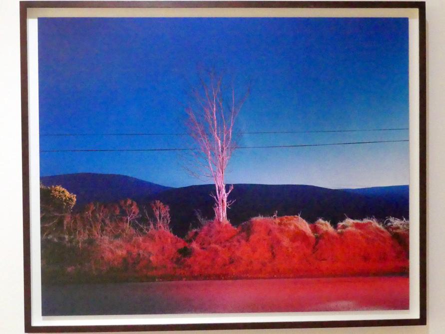 Gerard Byrne (2007), A country road, a tree. Evening. Somewhere between Tonygarrow and Cloon Wood, below Prince Williams Seat, Glencree, Co. Wicklow, München, Lenbachhaus, Saal 57, 2007