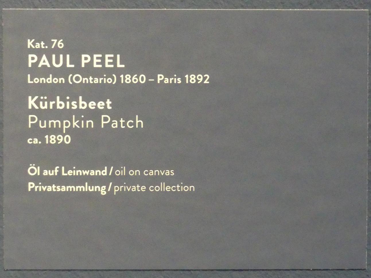 Paul Peel (1884–1890), Kürbisbeet, München, Kunsthalle, Ausstellung "Kanada und der Impressionismus" vom 19.07.-17.11.2019, Rückkehr nach Kanada, um 1890, Bild 2/2