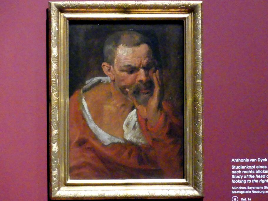 Anthonis (Anton) van Dyck (1614–1641), Studienkopf eines nach rechts unten blickenden Mannes, der sein Kinn in die Hand stützt, München, Alte Pinakothek, Ausstellung "Van Dyck" vom 25.10.2019-02.02.2020, Die Anfänge - 2, um 1616–1617