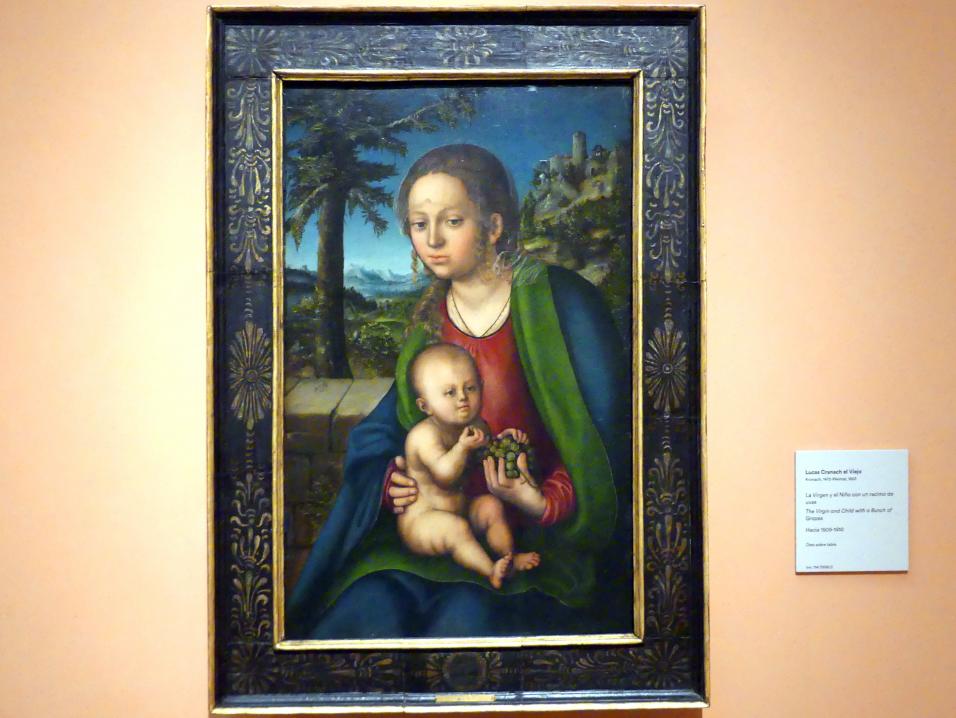 Lucas Cranach der Ältere (1502–1550), Maria mit dem Kind und der Weintraube, Madrid, Museo Thyssen-Bornemisza, Saal 8, deutsche Malerei des 15. und 16. Jahrhunderts, um 1509–1510
