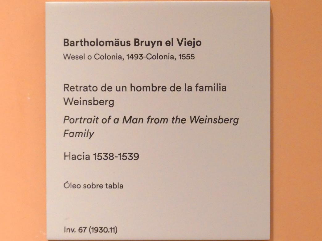 Bartholomäus Bruyn der Ältere (1513–1546), Porträt eines Mannes aus der Familie Weinsberg, Madrid, Museo Thyssen-Bornemisza, Saal 8, deutsche Malerei des 15. und 16. Jahrhunderts, um 1538–1539, Bild 2/2