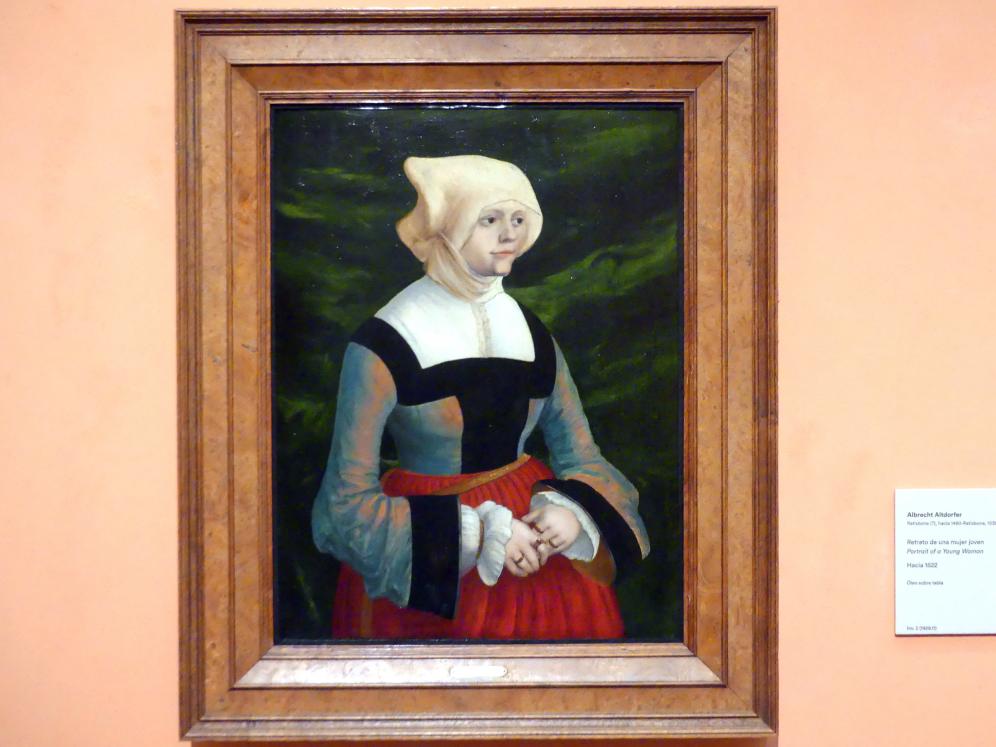 Albrecht Altdorfer (1507–1537), Porträt einer jungen Frau, Madrid, Museo Thyssen-Bornemisza, Saal 9, deutsche Malerei des 15. und 16. Jahrhunderts, um 1522, Bild 1/2