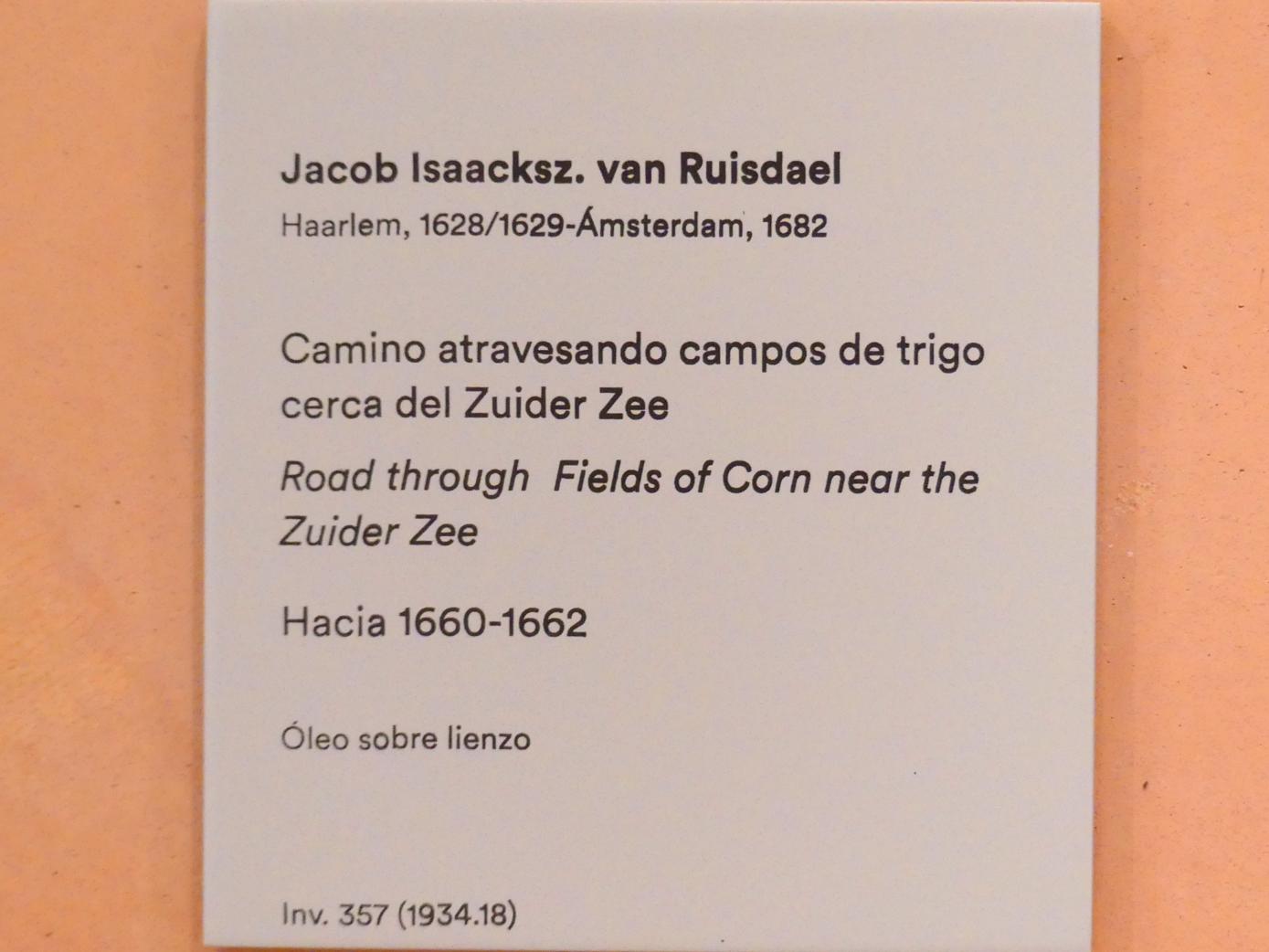 Jacob van Ruisdael (1646–1677), Weg durch Maisfelder bei Zuiderzee, Madrid, Museo Thyssen-Bornemisza, Saal 26, niederländische Malerei des 16. Jahrhunderts, um 1660–1662, Bild 2/2