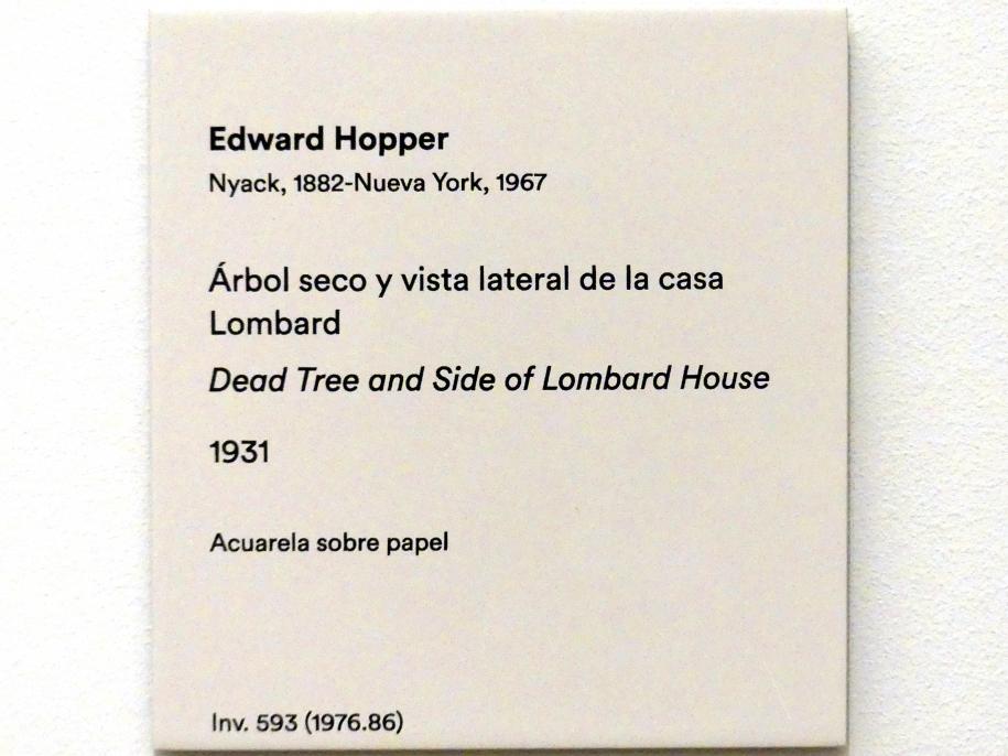 Edward Hopper (1921–1944), Toter Baum und Seitenansicht des Hauses Lombard, Madrid, Museo Thyssen-Bornemisza, Saal 40, Realismus der Zwischenkriegszeit, 1931, Bild 2/2
