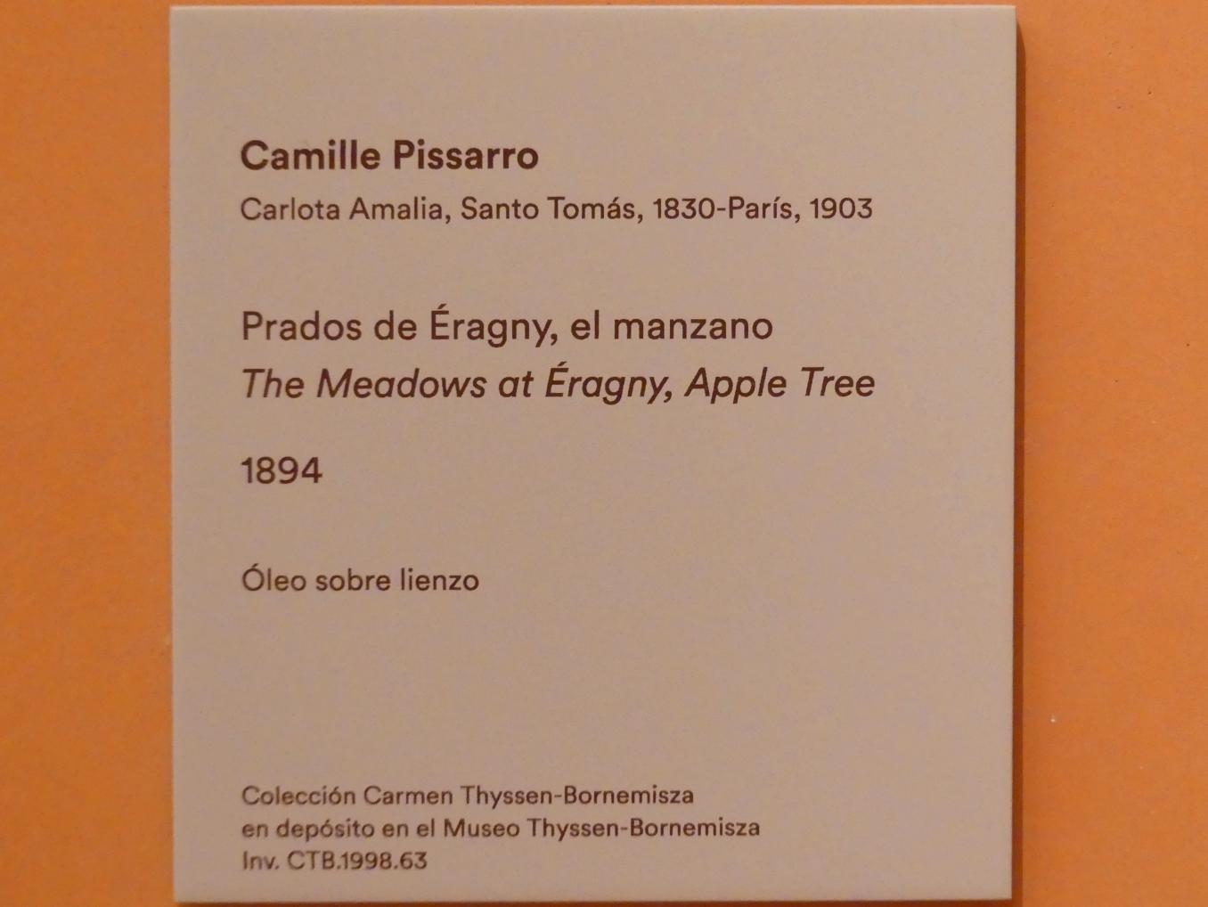 Camille Pissarro (1863–1903), Wiesen in Éragny, Apfelbaum, Madrid, Museo Thyssen-Bornemisza, Saal K, europäische Malerei des 19.Jahrhunderts, 1894, Bild 2/2