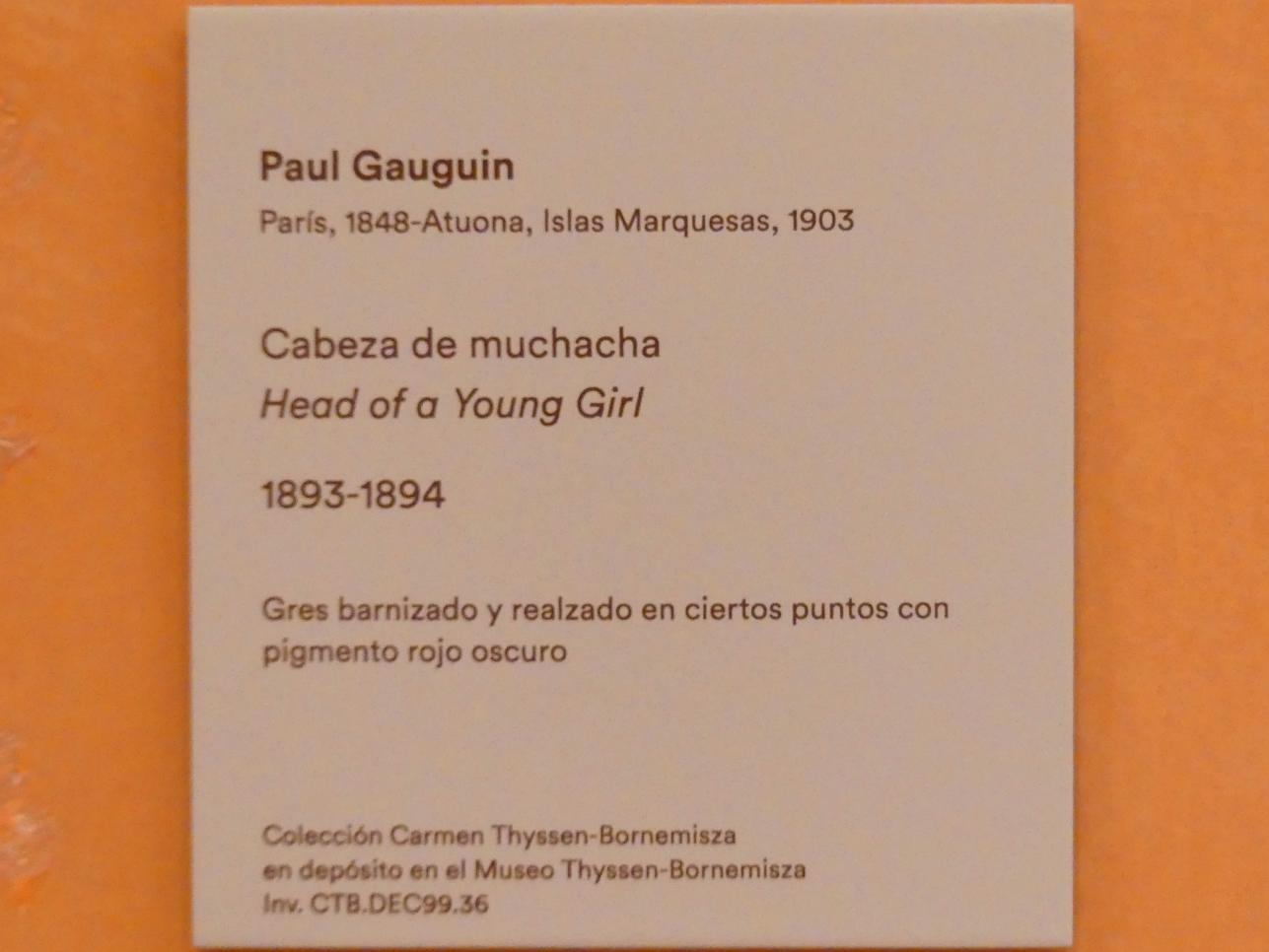 Paul Gauguin (1875–1902), Kopf eines jungen Mädchens, Madrid, Museo Thyssen-Bornemisza, Saal L, europäische Malerei des 19.Jahrhunderts, 1893–1894, Bild 6/6