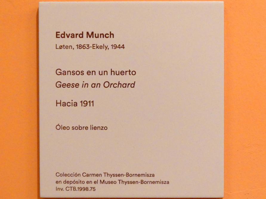 Edvard Munch (1888–1925), Gänse in einem Obstgarten, Madrid, Museo Thyssen-Bornemisza, Saal N, europäische Malerei der ersten Hälfte des 20. Jahrhundert, um 1911, Bild 2/2