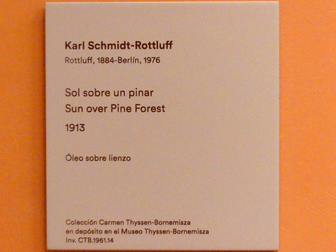 Karl Schmidt-Rottluff (1907–1937), Sonne über dem Pinienwald, Madrid, Museo Thyssen-Bornemisza, Saal N, europäische Malerei der ersten Hälfte des 20. Jahrhundert, 1913, Bild 2/2