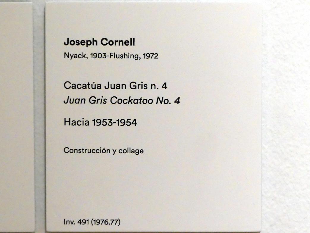 Joseph Cornell (1940–1953), Juan Gris Kakadu Nr. 4, Madrid, Museo Thyssen-Bornemisza, Saal 48, Neo-Dadaismus und Pop-Art, um 1953–1954, Bild 3/3