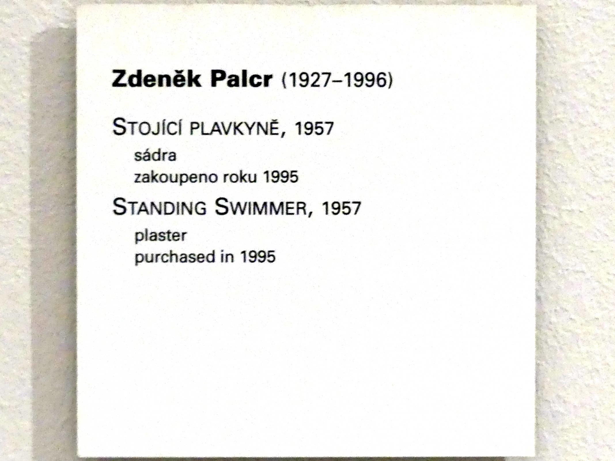 Zdeněk Palcr (1957–1969), Stehender Schwimmer, Prag, Nationalgalerie im Messepalast, Moderne Kunst, 1957, Bild 6/6