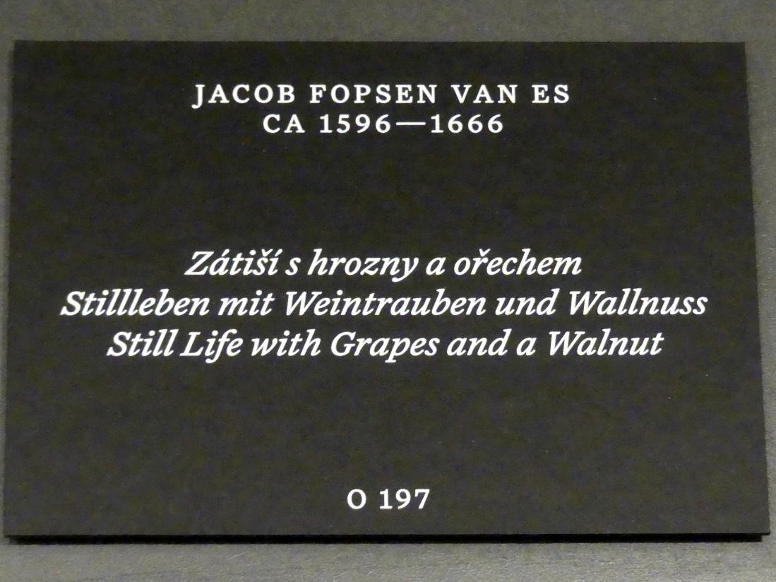 Jacob Foppens van Es (1625–1637), Stillleben mit Weintrauben und Walnuss, Prag, Nationalgalerie im Palais Schwarzenberg, 1. Obergeschoss, Saal 4, Undatiert, Bild 2/2