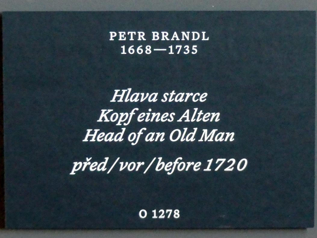 Peter Johann Brandl (1697–1728), Kopf eines Alten, Prag, Nationalgalerie im Palais Schwarzenberg, 1. Obergeschoss, Saal 6, vor 1720, Bild 2/2