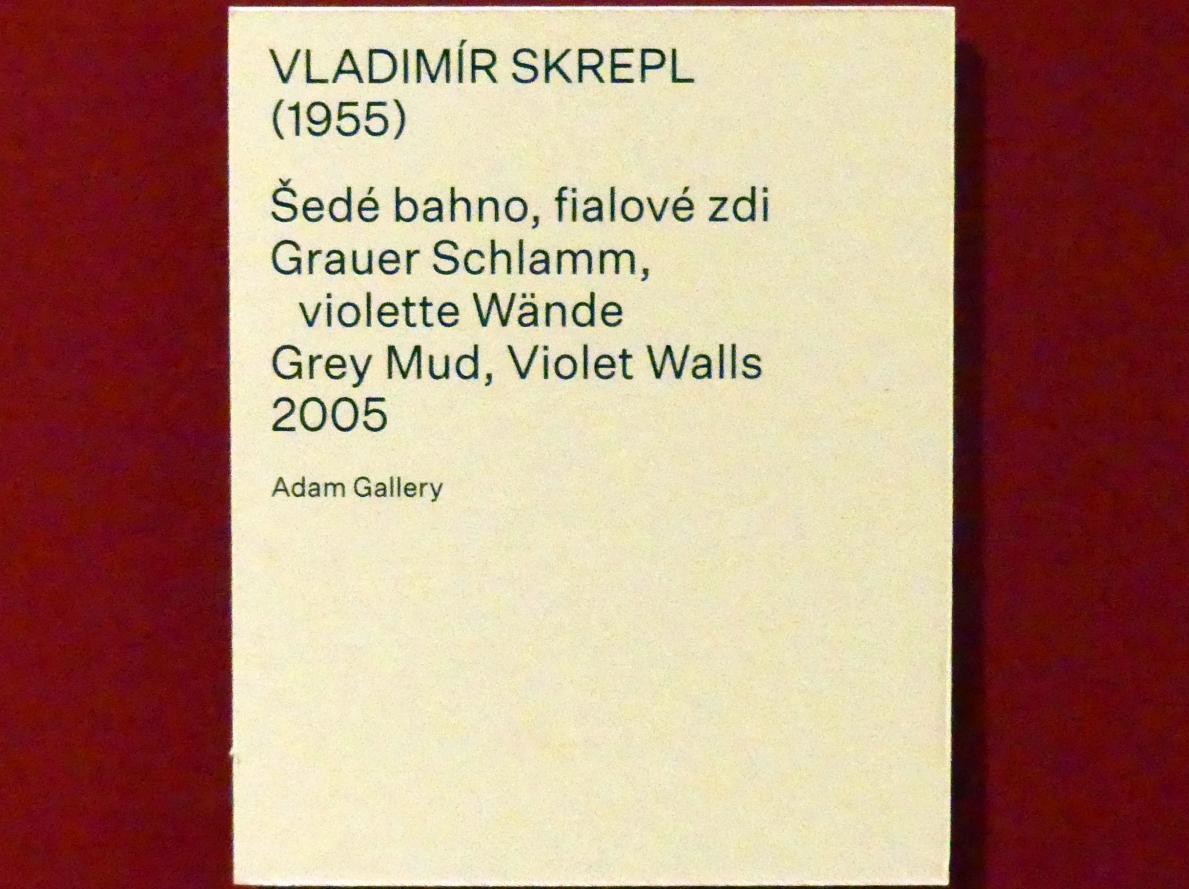 Vladimír Skrepl (2005), Grauer Schlamm, violette Wände, Prag, Nationalgalerie im Salm-Palast, Ausstellung "Möglichkeiten des Dialogs" vom 02.12.2018-01.12.2019, Saal 22, 2005, Bild 2/2
