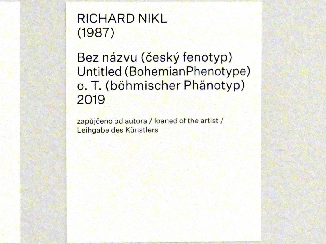 Richard Nikl (2019), o. T. (böhmischer Phänotyp), Prag, Nationalgalerie im Salm-Palast, Ausstellung "Möglichkeiten des Dialogs" vom 02.12.2018-01.12.2019, Young Scene Challenge, 2019, Bild 3/3