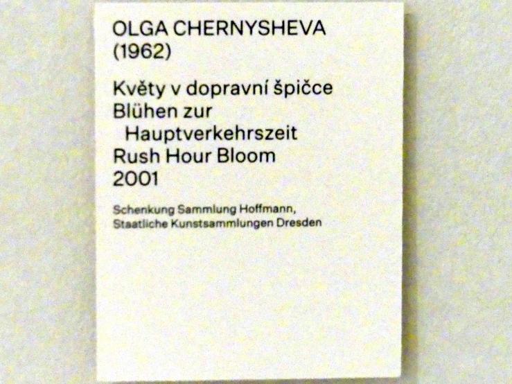 Olga Chernysheva (2001), Blühen zur Hauptverkehrszeit, Prag, Nationalgalerie im Salm-Palast, Ausstellung "Möglichkeiten des Dialogs" vom 02.12.2018-01.12.2019, Saal 9, 2001, Bild 2/2