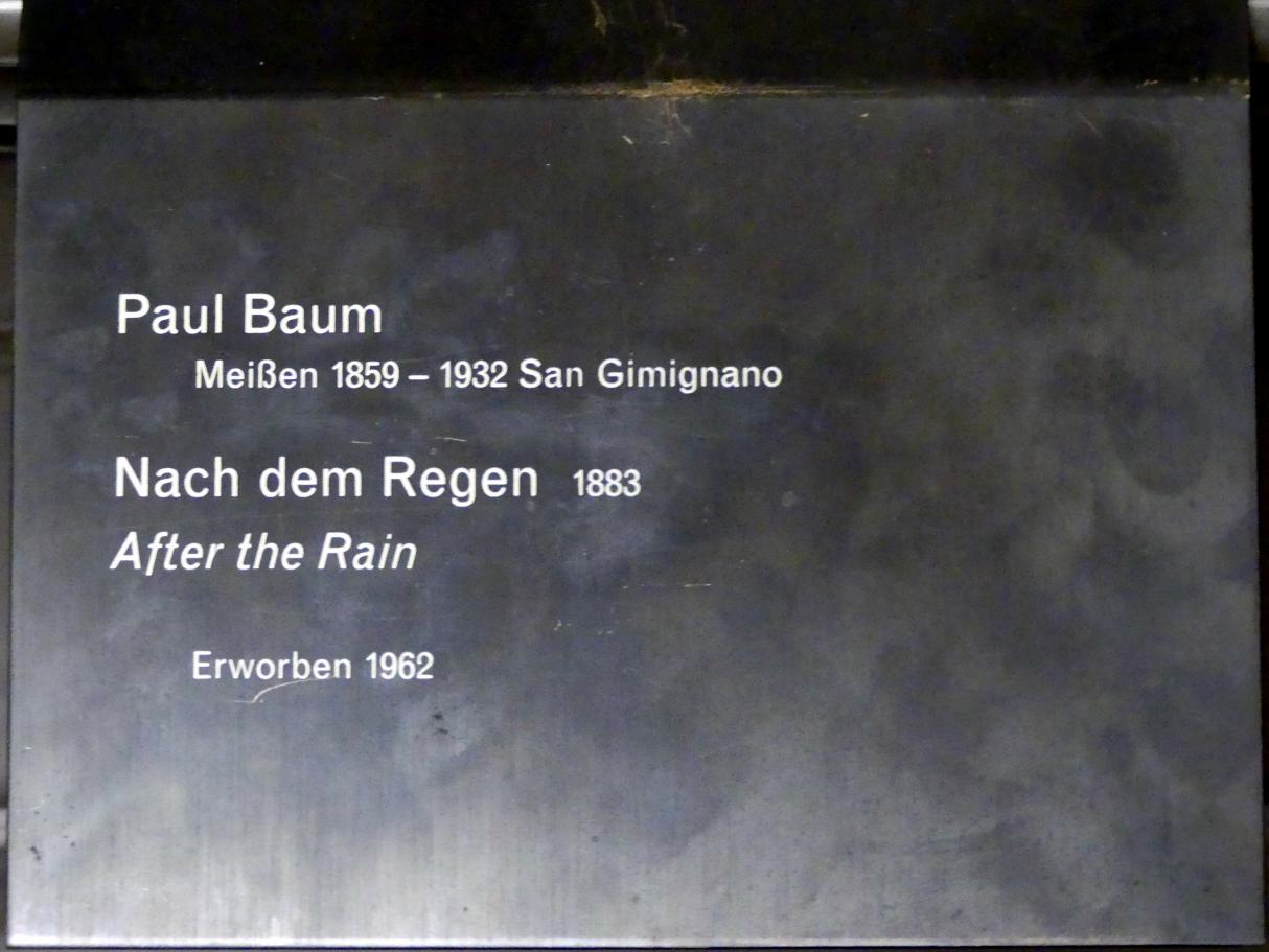 Paul Baum (1883–1900), Nach dem Regen, Berlin, Alte Nationalgalerie, Saal 211, Realismus in Deutschland, 1883, Bild 2/2