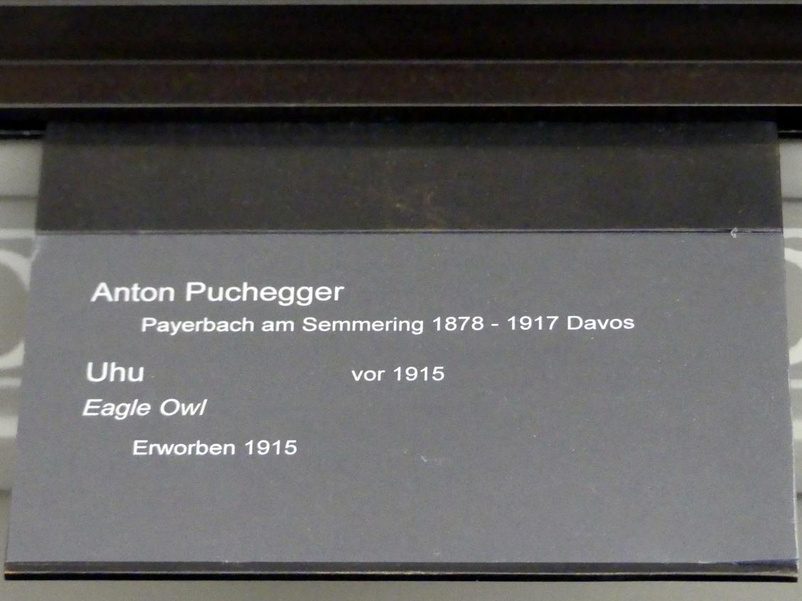 Anton Puchegger (1914–1916), Uhu, Berlin, Alte Nationalgalerie, Saal 114, Kunst der Gründerzeit, vor 1915, Bild 5/5