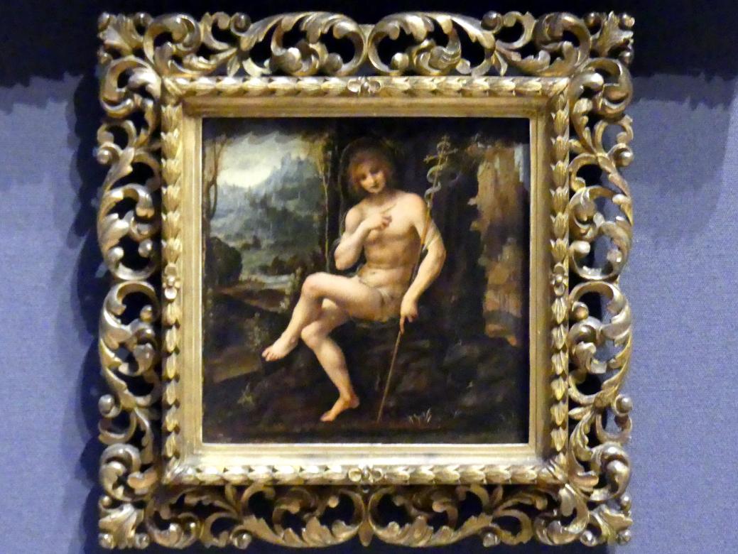 Bernardino Lanino (1537–1550), Johannes der Täufer in der Wildnis, Edinburgh, Scottish National Gallery, Saal 4, Kabinettstücke, um 1550, Bild 1/2