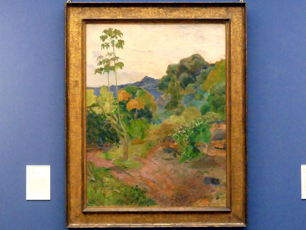 Paul Gauguin (1875–1902), Landschaft auf Martinique, Edinburgh, Scottish National Gallery, Saal 18, Impressionismus und Post-Impressionismus, 1887