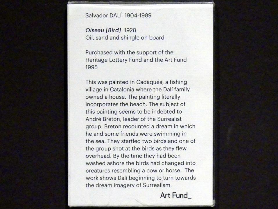 Salvador Dalí (1924–1965), Vogel, Edinburgh, Scottish National Gallery of Modern Art, Gebäude One, Saal 20: jenseits des Realismus - Dada und Surrealismus, 1928, Bild 2/2