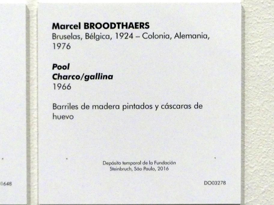Marcel Broodthaers (1965–1973), Pool (Pfütze / Henne), Madrid, Museo Reina Sofía, Saal 104.02, 1966, Bild 2/2
