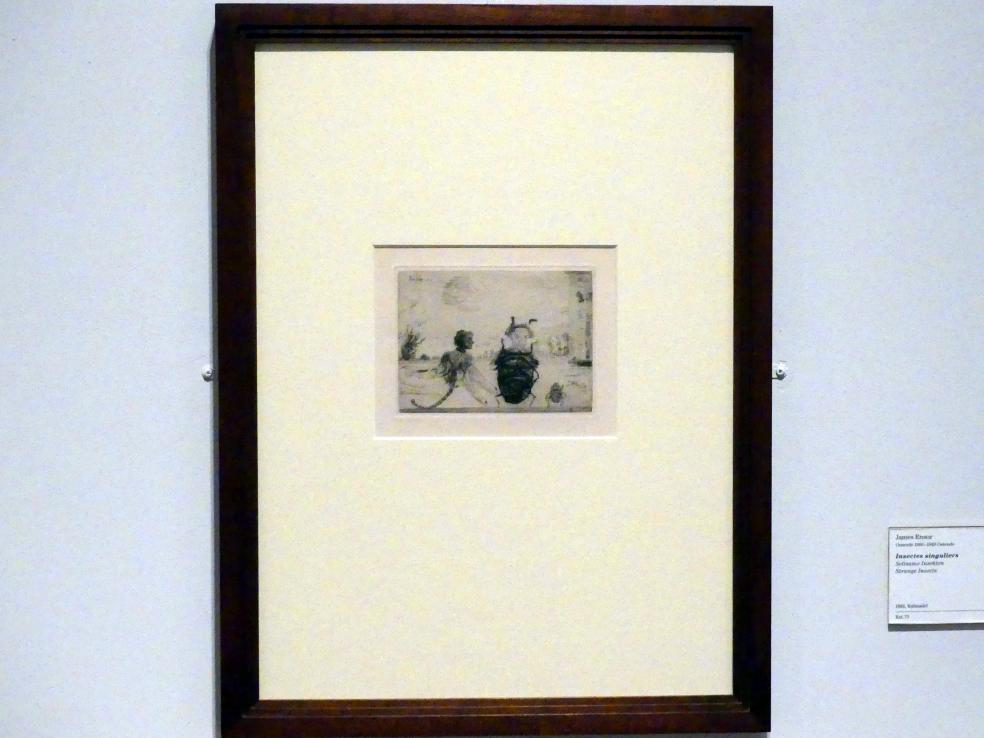 James Ensor (1880–1925), Seltsame Insekten, Berlin, Sammlung Scharf-Gerstenberg, Erdgeschoß, Saal 3, 1888, Bild 1/3