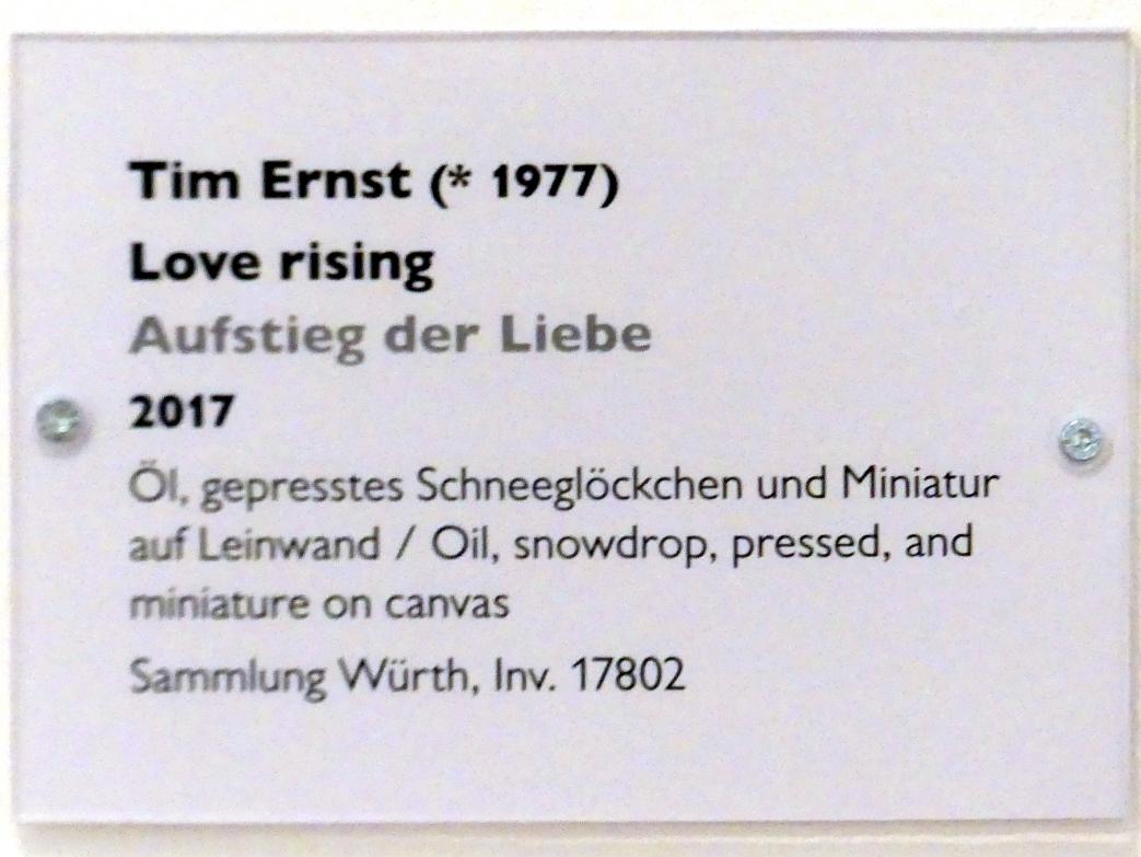 Tim Ernst (2010–2017), Aufstieg der Liebe, Schwäbisch Hall, Kunsthalle Würth, Ausstellung "Lust auf mehr" vom 30.09.2019 - 20.09.2020, Obergeschoss, 2017, Bild 3/3
