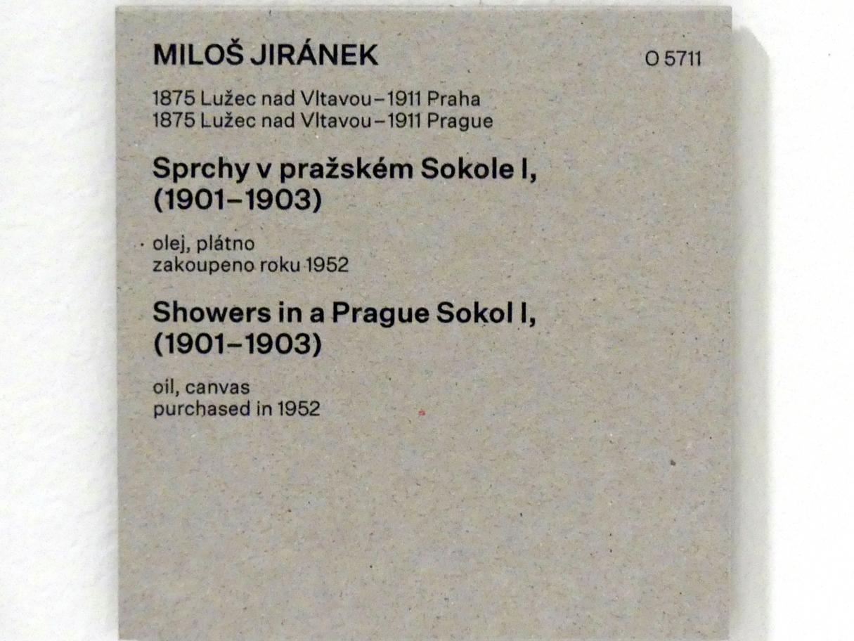 Miloš Jiránek (1901–1908), Duschen in der Prager Turnbewegung Sokol I, Prag, Nationalgalerie im Messepalast, Das lange Jahrhundert, Saal 8, 1901–1903, Bild 2/2